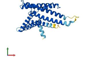 Protein Structure (PS) image for Peroxisome Biogenesis Factor 11 gamma (PEX11G) (AA 1-241) protein (His tag) (ABIN7551128)