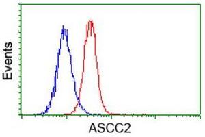 Flow cytometric Analysis of Hela cells, using anti-ASCC2 antibody (ABIN2454505), (Red), compared to a nonspecific negative control antibody, (Blue).