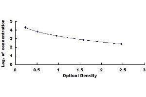 IgG2 ELISA Kit