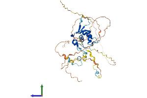 AlphaFold protein structure predicition of Mouse Recombinant Foxh1 Protein, UniprotID O88621