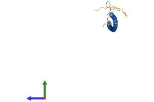 Protein Structure (PS) image for Coiled-Coil Domain Containing 85B (CCDC85B) (AA 1-202) protein (His tag) (ABIN7553145)