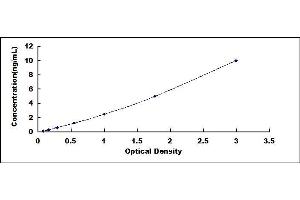 Typical standard curve (Claudin 2 ELISA Kit)