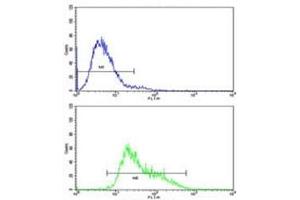 Flow cytometric analysis of CEM cells using IGHA1 antibody (bottom histogram) compared to a negative control (top histogram). (IGHA1 Antikörper  (AA 257-286))