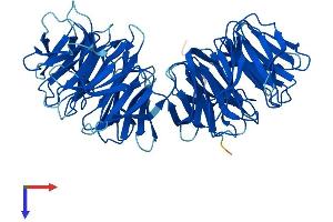 WDR16 Protein (AA 1-620) (His tag)