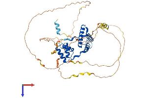 AlphaFold protein structure predicition of Human Recombinant DUX4 Protein, UniprotID Q9UBX2