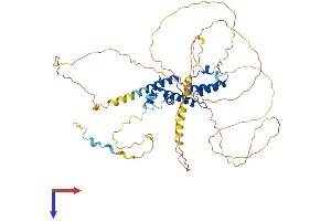 HIRIP3 Protein (AA 1-556) (His tag)