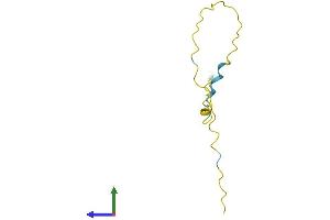 Protein Structure (PS) image for High Mobility Group Nucleosome Binding Domain 4 (HMGN4) (AA 1-90) protein (Fc Tag) (ABIN7548330)