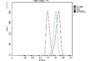 Flow Cytometry analysis of HEL cells using anti-MTHFD1L antibody (ABIN7601728). (MTHFD1L Antikörper  (AA 43-833))