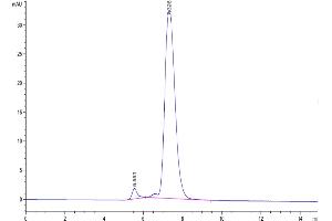 Size-exclusion chromatography-High Pressure Liquid Chromatography (SEC-HPLC) image for Paired Immunoglobin-Like Type 2 Receptor alpha (PILRA) (AA 32-197) protein (Fc Tag) (ABIN7275476)
