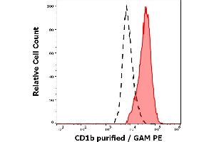 Separation of cells stained using anti-human CD1b (SN13) purified antibody (concentration in sample 9 μg/mL, GAM PE, red-filled) from cells unstained by primary antibody (GAM PE, black-dashed) in flow cytometry analysis (surface staining) of human stimulated (GM-CSF + IL-4) peripheral blood mononuclear cells.