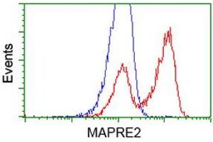 Flow Cytometry (FACS) image for anti-Microtubule-Associated Protein, RP/EB Family, Member 2 (MAPRE2) antibody (ABIN1499321) (MAPRE2 Antikörper)