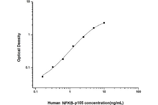 NFKB1 ELISA Kit