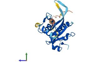 Protein Structure (PS) image for Josephin Domain Containing 1 (JOSD1) (AA 1-202) protein (His tag) (ABIN7561283)