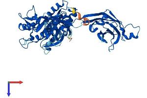 CPNE1 Protein (AA 1-537) (His tag)