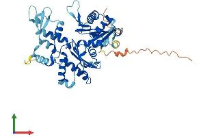 AlphaFold protein structure predicition of Human Recombinant ACTR10 Protein, UniprotID Q9NZ32