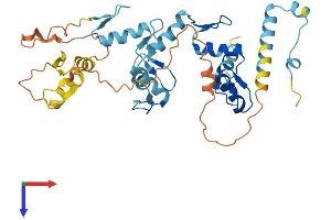 ZNF670 Protein (AA 1-389) (His tag)