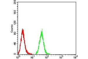 Flow Cytometry (FACS) image for anti-Isocitrate Dehydrogenase 1 (NADP+), Soluble (IDH1) (AA 156-298) antibody (ABIN5921398) (IDH1 Antikörper  (AA 156-298))