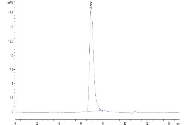 RGMA Protein (AA 48-422) (His-Avi Tag,Biotin)