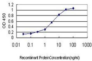 Detection limit for recombinant GST tagged BCL2L14 is approximately 0. (BCL2L14 Antikörper  (AA 1-327))