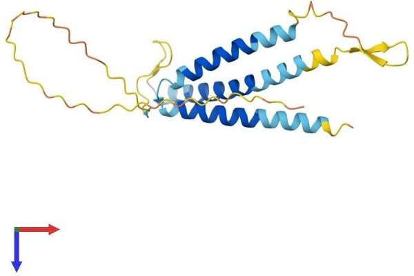 SLC31A1 Protein (AA 1-196) (His tag)