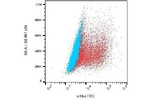 Detection of transfected LST-1-c-Myc in HEK-293 cells (red) compared with nontransfected HEK-293 cells (blue) using mouse monoclonal anti-c-Myc (9E10) FITC. (Myc Tag Antikörper  (C-Term) (FITC))