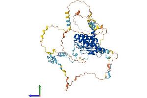 Protein Structure (PS) image for Leiomodin 2 (LMOD2) (AA 1-547) protein (His tag) (ABIN7549076)