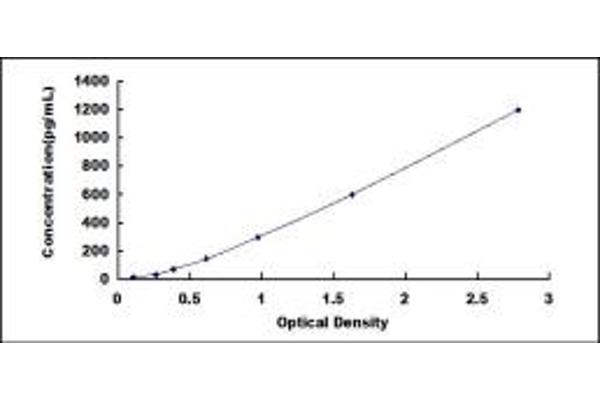 Angiopoietin 4 ELISA Kit