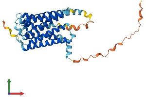 Protein Structure (PS) image for G Protein-Coupled Receptor 157 (GPR175) (AA 1-330) protein (His tag) (ABIN7559111)