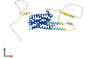 Protein Structure (PS) image for 5-Hydroxytryptamine (serotonin) Receptor 2A (HTR2A) (AA 1-471) protein (His tag) (ABIN7563165)