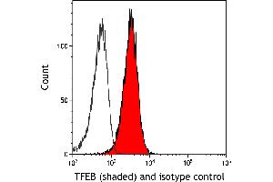 Flow Cytometry (FACS) image for anti-Transcription Factor EB (TFEB) (AA 426-476) antibody (ABIN7453326)
