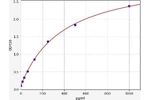 Thymic Stromal Lymphopoietin (TSLP) ELISA Kit