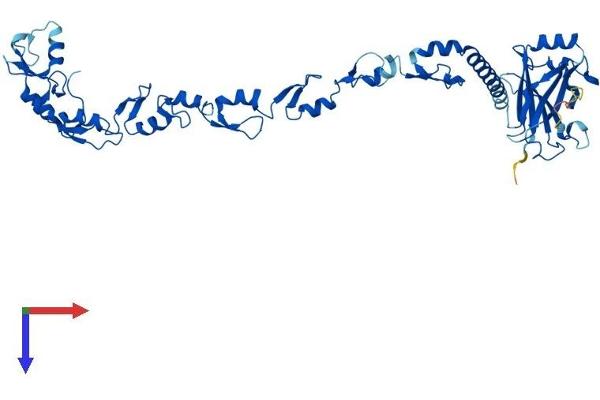 TRAF4 Protein (AA 1-470) (His tag)