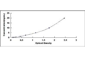 Typical standard curve (ADAMTS13 ELISA Kit)