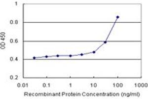 Sandwich ELISA detection sensitivity ranging from 10 ng/mL to 100 ng/mL.