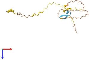 POLR2M Protein (AA 1-148) (His tag)