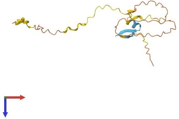 POLR2M Protein (AA 1-148) (His tag)
