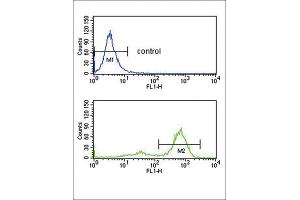 Flow Cytometry (FACS) image for anti-Ets Variant 6 (ETV6) antibody (ABIN3003964)