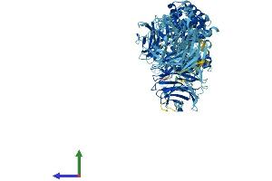 Protein Structure (PS) image for Apoptotic Peptidase Activating Factor 1 (APAF1) (AA 1-1249) protein (His tag) (ABIN7562682)