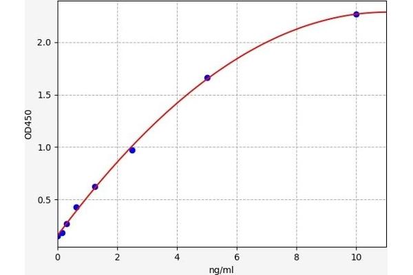 SIPA1L1 ELISA Kit