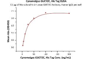 ELISA image for Guanylate Cyclase 2C (Heat Stable Enterotoxin Receptor) (GUCY2C) (AA 24-430) (Active) protein (His tag) (ABIN7013472)