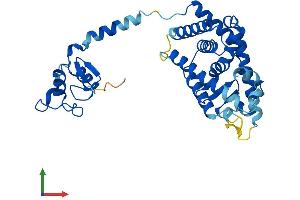 Protein Structure (PS) image for Nuclear Receptor Subfamily 1, Group I, Member 3 (NR1I3) (AA 1-352) protein (His tag) (ABIN7549957)