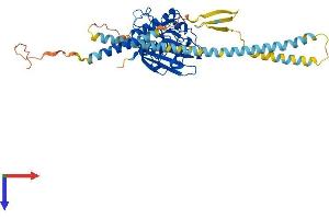FIBCD1 Protein (AA 1-459) (His tag)