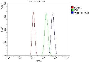 Flow Cytometry analysis of A549 cells using anti-WEE1 antibody (ABIN7599944).