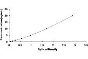 Typical standard curve (ITGA6 ELISA Kit)