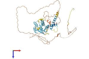 SOHLH2 Protein (AA 1-467) (His tag)