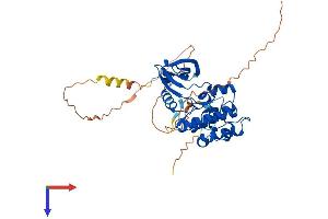 Aurora A Protein (AA 1-395) (His tag)