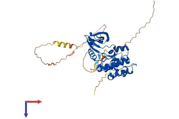 Aurora A Protein (AA 1-395) (His tag)