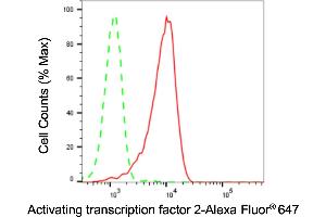 Flow cytometric analysis of Activating transcription factor 2 expression in HepG2 cells using Activating transcription factor 2 antibody (ABIN7797479), 1:2,000).