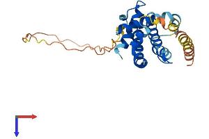 BCL2L1 Protein (AA 1-233) (His tag)