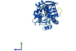 AlphaFold protein structure predicition of Human Recombinant MEST Protein, UniprotID Q5EB52